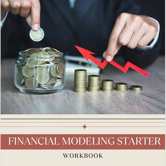 Financial Modeling Starter - Printable Workbook for small business owners